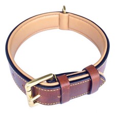 Padded Real Leather Dog Collar 24x1.5 Inch Fits 1821 Inch Neck Large Brown