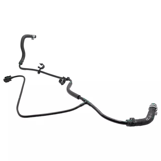 Genuine Ford GN1Z-8A365-Q Coolant Overflow Hose Replacement