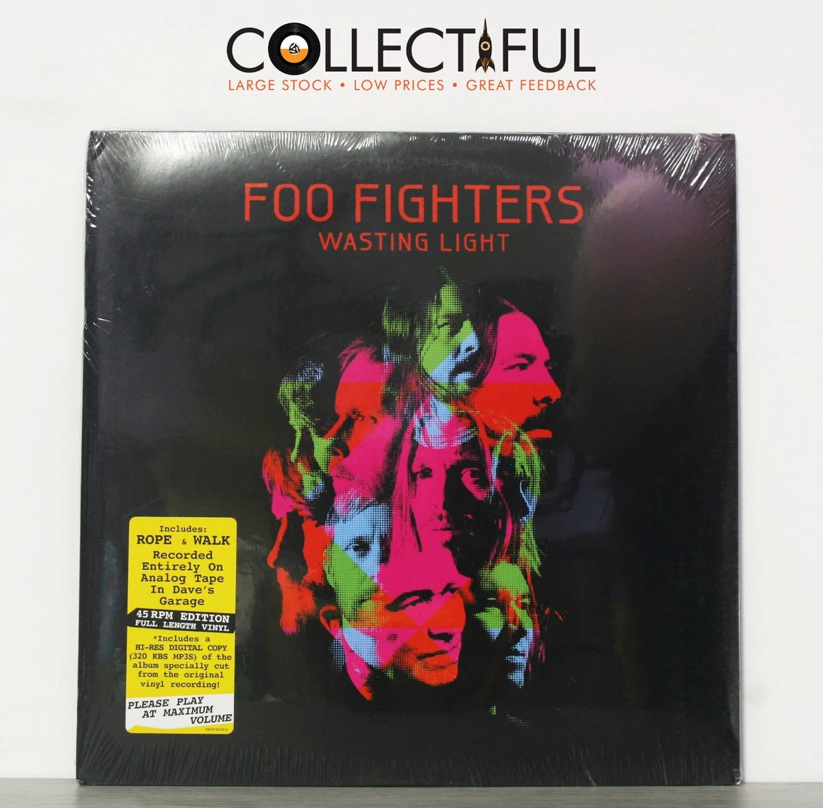 LP / Vinil - Foo Fighters - Wasting Light (2xLP)