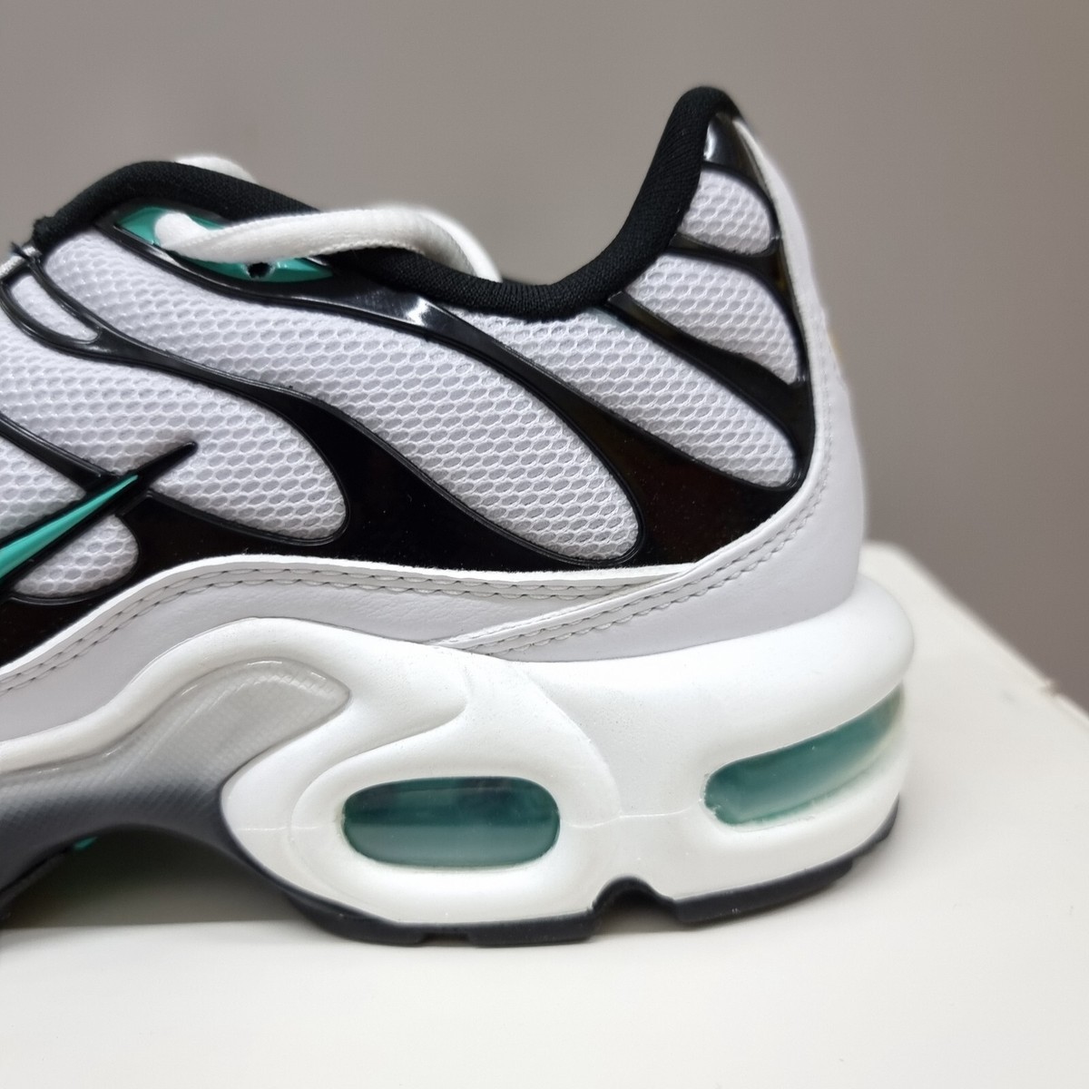 NIKE AIR MAX PLUS TN TUNED ATMOS NIKE AIR MAX PLUS TN TUNED ATMOS