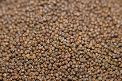 3 oz. Tropical Fish Food With High Quality Color Enhancement 1.5mm Granules