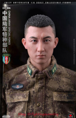 Soldier Story SS119 Chinese Army Special Forces Falcon 2015 1/6