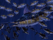 Ceramic Backsplash Tile Mural Fishing Kitchen/Bathroom/Shower - Premonition