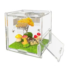 Jumping Spider Enclosure, 4" X 4" X 4" Acrylic Spider Habitat, Front Opening Sma