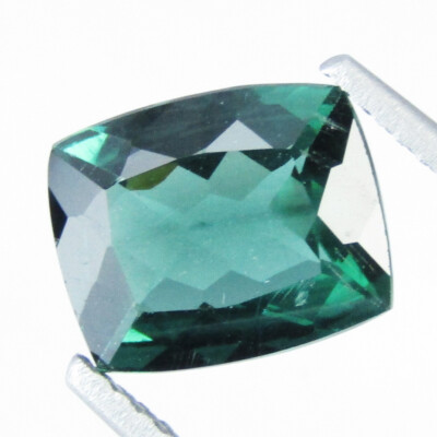 2.64Cts Amazing Natural Mint Green Apatite Collection Gemstone Cushion Shape