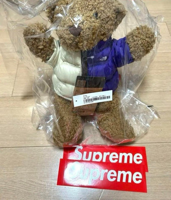 Neuer Supreme North Face Bär hellbraun Collaboration Plüsch aus JAPAN