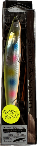 Shimano Silent Assassin 129F Flash Boost AR-C- Best Size for UK Seabass! - Picture 5 of 13