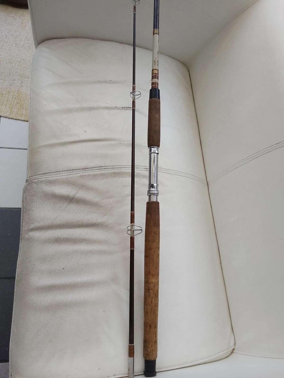 Daiwa 2025 Carp Fishing Rod Vintage 2 Piece 8ft River Lake Pond + Original Bag