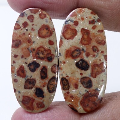 49.70 Cts Natural Oval Asteroid Picture Jasper Pair Cab Gemstone Earring Supply