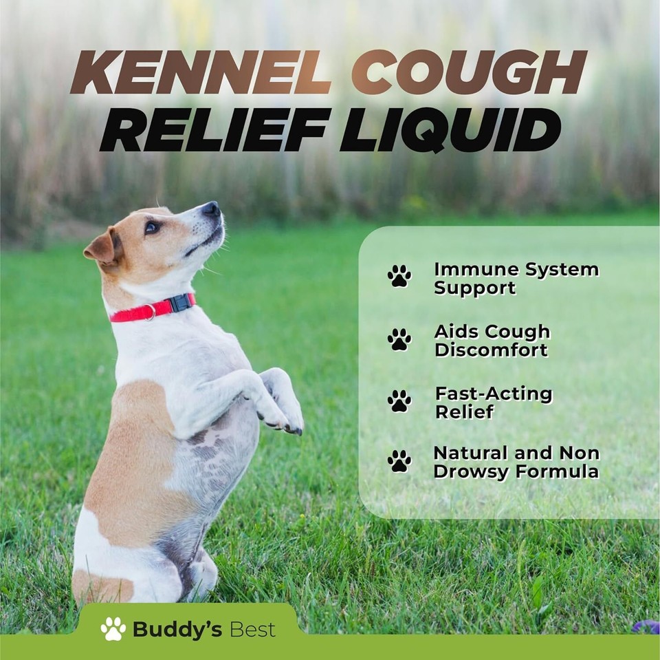 Kennel Cough Relief Immediate and LongLasting Support for Dogs