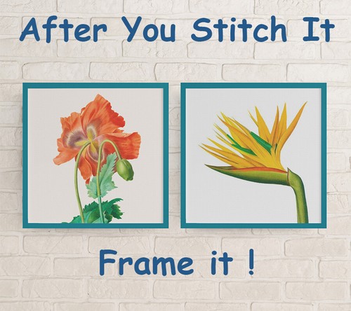 Orenco Originals Redoute Bird of Paradise Flower Counted Cross Stitch Pattern - Picture 4 of 9