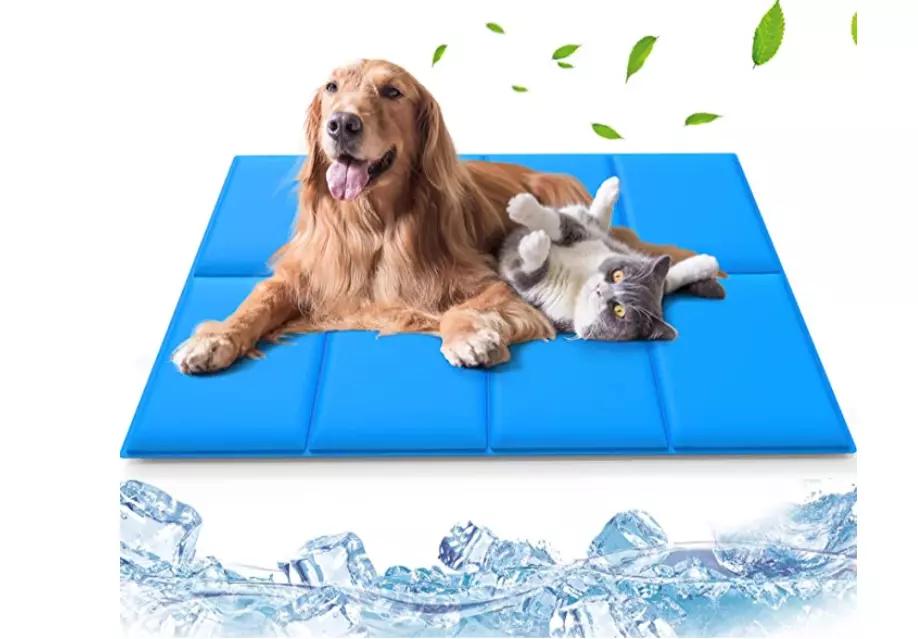 Dog cooling mat asda 2025