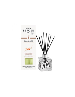 MAISON BERGER PARIS - Bouquet Petillance Exquise Stick Diffuser 125 ml