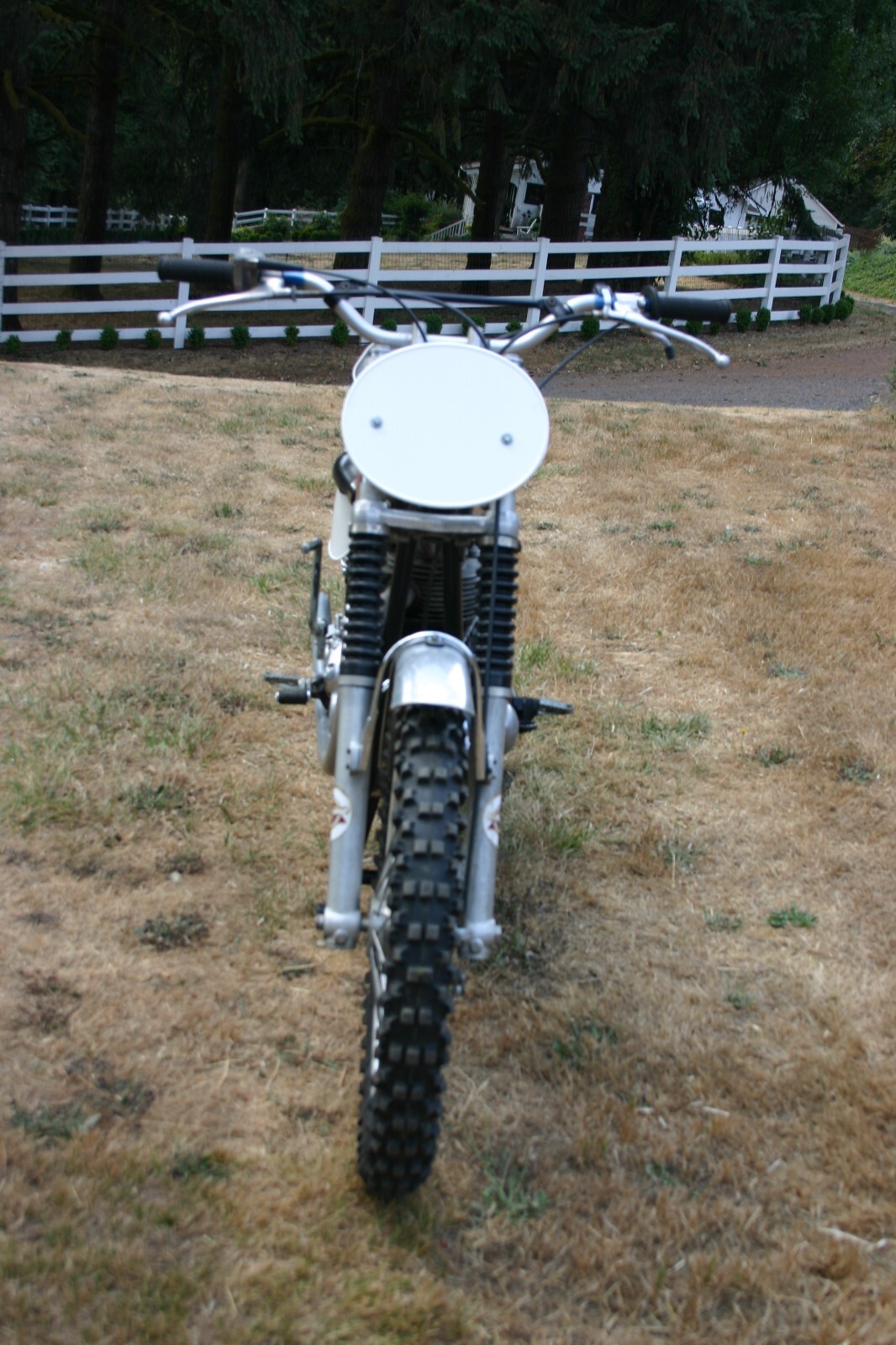dbd34 gold star