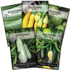 - Zucchini Squash Seed Collection for Planting - Black 4 Squash Collection