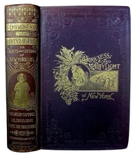 1896 NEW YORK CITY GUIDE CRIME POLICE FIRE PRISONS SALOONS SLUMS VICE VICTORIAN