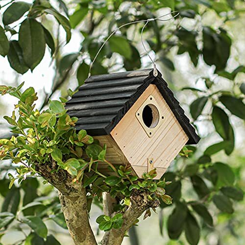 バードハウスページ Unique Birdhouses & Wild Bird Feeders | The Birdhouse Chick