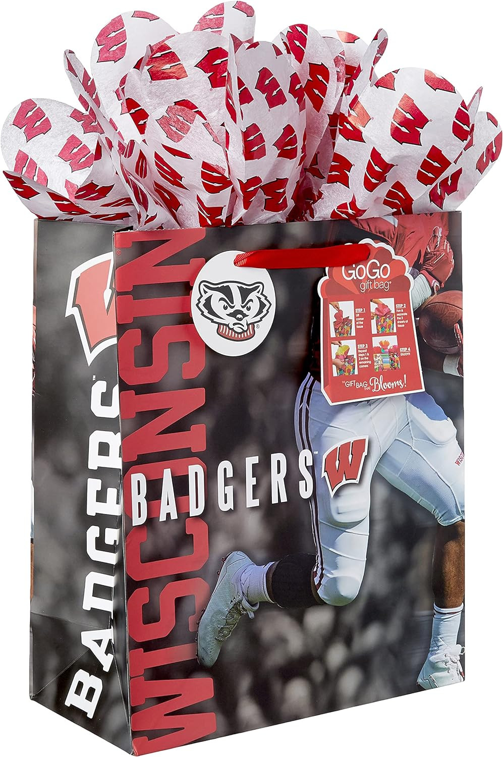 Подарочный пакет Wisconsin Badgers GoGo, большой