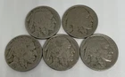 1929 1929-D 1930 1936 1937 Buffalo Nickel Lot of 5