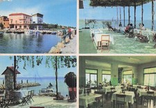 ITALY FISH PESCHIERA DEL GARDA LAKE GARDA