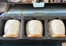 Owl Plant Pots x 3 Small Ceramic Can Be Painted.  Bamboo Trays