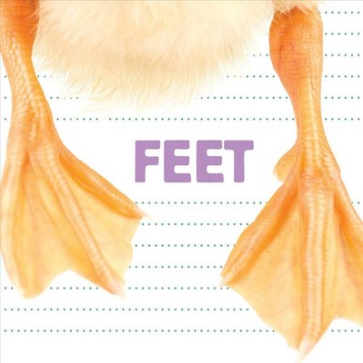 Feet by Katrine Crow (English) Board Book Book