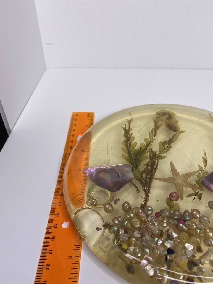 Vintage Lucite Resin Trivet Hot Plate Acrylic Beach Sea Shells Sea