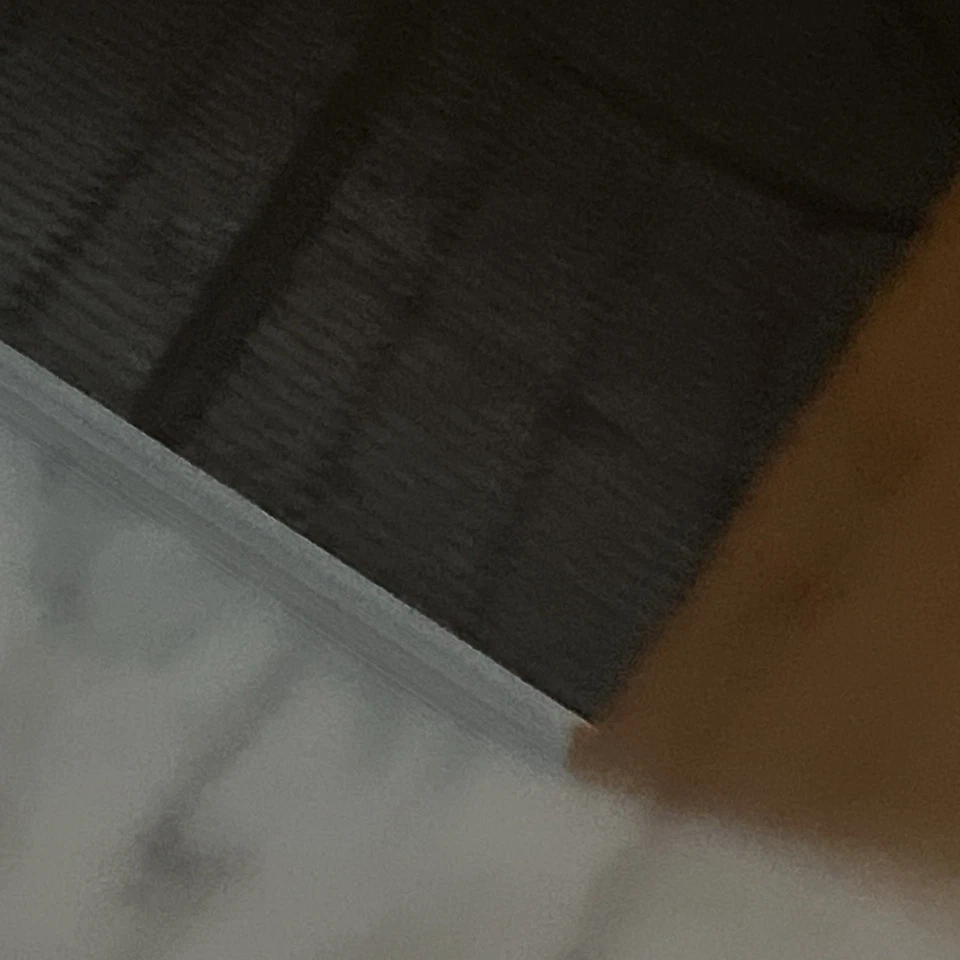 ANOTHER MAGAZINE Issue 47 A/W 24 ABBY CHAMPION cover / Winona Ryder & Mia Goth Foto 3 de 4