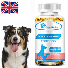 Thyroid Supplement for Dog, Support for Hypothyroidism in Dogs W/ Bladderwrack