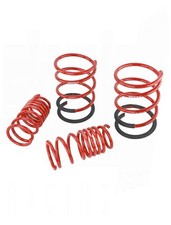 Skunk2 Racing Performance Lowering Springs for Acura RSX & Type-S 02-04 New