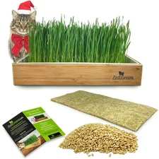 Self-Watering Cat Grass Kit. Hands Down The Easiest Way to Grow Cat Grass. In
