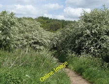 Photo 6x4 Footpath in the Maun Valley Mansfield Woodhouse View at a footp c2014