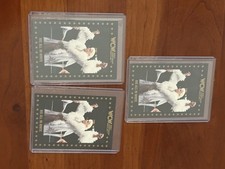 Ric Flair Nature Boy Card Lot