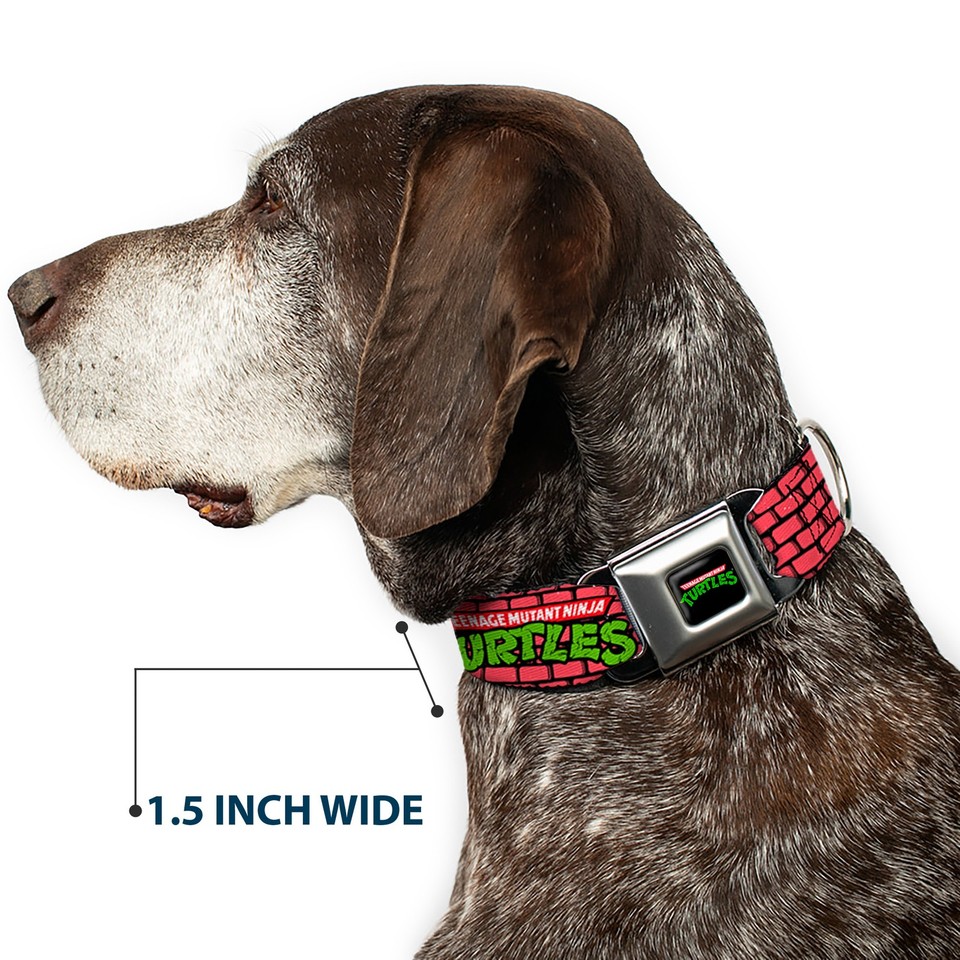 Teenage Mutant Ninja Turtles Hundehalsband – Verstellbar 22,9–38,1 Cm, Mit Coolem TMNT-Logo