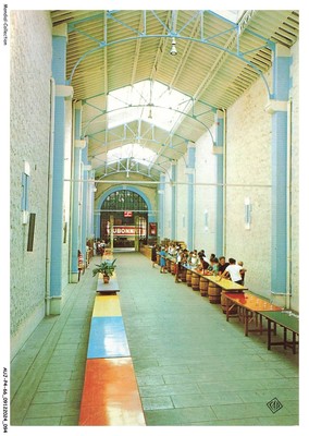 AUJP4-0207-66 - THUIR - Pyrenees-Orientales - establishments c-d-c - byrrh