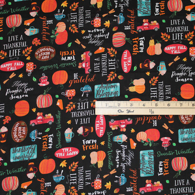 Hayrides & Happiness Autumn Words Hello Fall Thankful Fabric  1/2 Yard   #12703