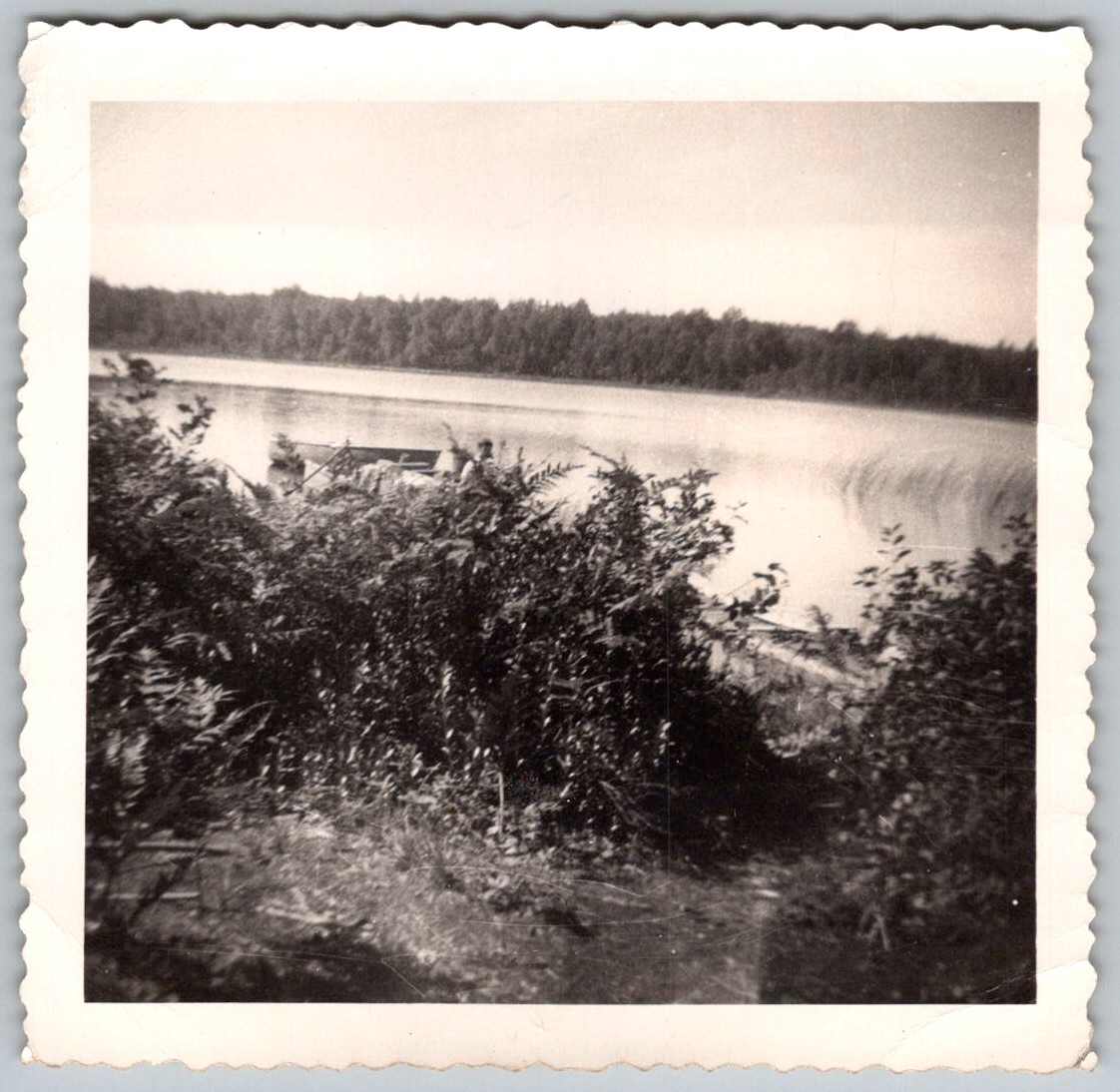 Picture 1