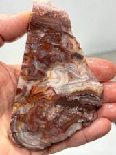 Mexican Laguna Crazy Lace Agate Slab Cabbing Collecting Combo Ship Avail