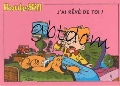 Boule et Bill _ Roba _*=_ Spirou _ Verron _ Maurice Rosy et Vicq _ Caroline