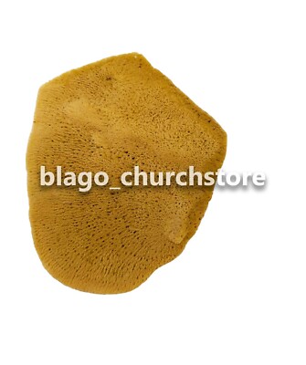 Orthodox Sponge Church Sponge for Orthodox Antimins is Natural 4.52