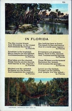 In Florida Postcard By Asheville Postcard. Co A-90037 Unposted