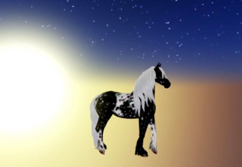 Wild horse island Roblox Friesian horse in 2023