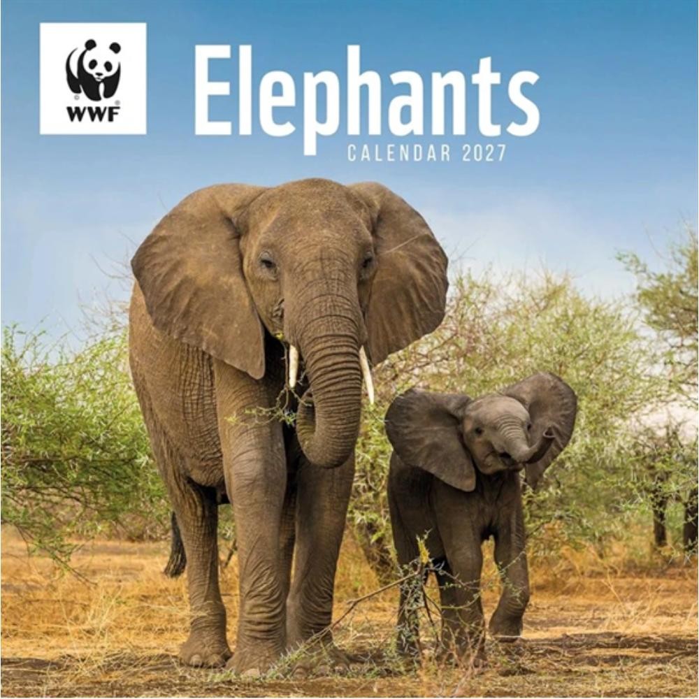 WWF, Elephants 2027 Planner Large Month To View Wall Calendar