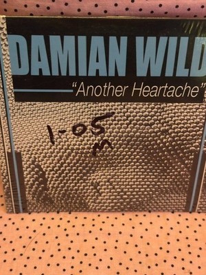 Another Heartache Damian Wild CD Maxi-Single 2005 5 Remix Versions New Free Ship