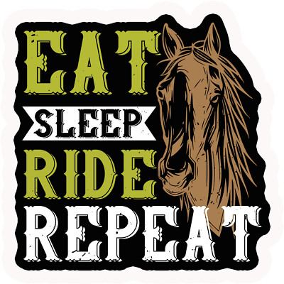 2 x Eat Sleep Ride Repeat - Novelty Car Bumper Window Funny Sticker ...