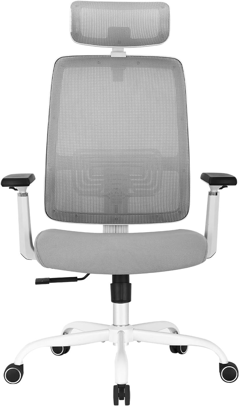 Ergonomic Office Chair - High Back Desk Chair with Adjustable Lumbar Suppor...