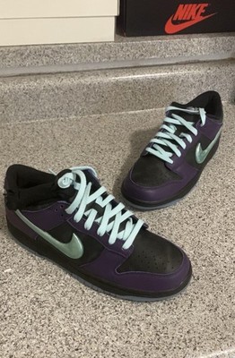 Size 11 - Nike Dunk LTD Low Wizard