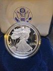 2007-W American Silver Eagle Proof Coin 1 Oz