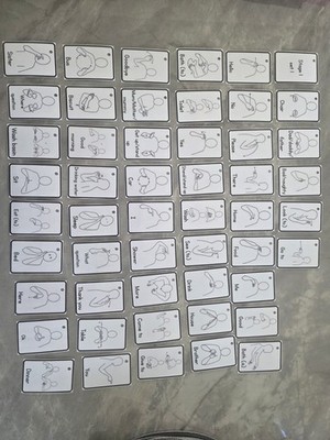 makaton stage 1 flash karten, Autismus, ADHS.