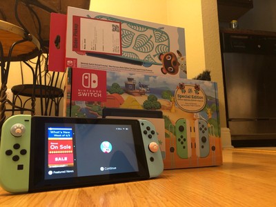 Nintendo Switch Animal Crossing New Horizon Special Edition